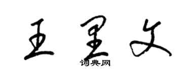 梁錦英王里文草書個性簽名怎么寫