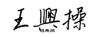 王正良王興操行書個性簽名怎么寫