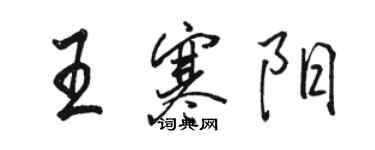 駱恆光王寒陽行書個性簽名怎么寫