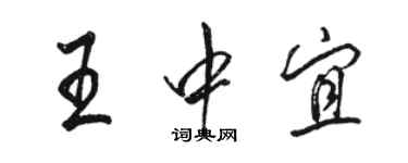 駱恆光王中宜行書個性簽名怎么寫