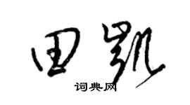 梁錦英田凱草書個性簽名怎么寫