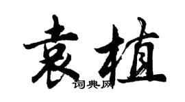 胡問遂袁植行書個性簽名怎么寫