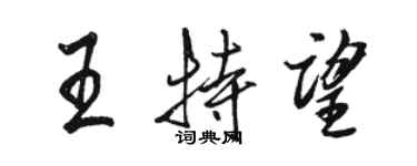 駱恆光王特望行書個性簽名怎么寫