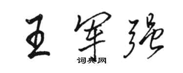 駱恆光王軍強行書個性簽名怎么寫