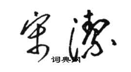 駱恆光宋潔草書個性簽名怎么寫