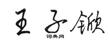 駱恆光王子杴行書個性簽名怎么寫