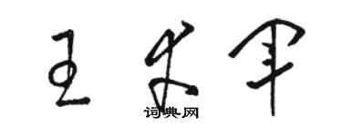 駱恆光王幸軍草書個性簽名怎么寫