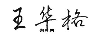 駱恆光王華格行書個性簽名怎么寫