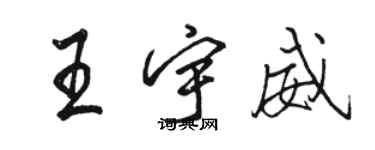駱恆光王宇威行書個性簽名怎么寫