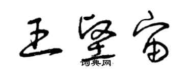 曾慶福王堅宙草書個性簽名怎么寫