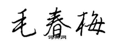 王正良毛春梅行書個性簽名怎么寫