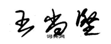 朱錫榮王尚堅草書個性簽名怎么寫