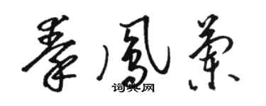 駱恆光秦鳳蘭草書個性簽名怎么寫