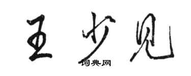 駱恆光王少見行書個性簽名怎么寫