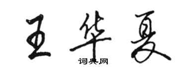 駱恆光王華夏行書個性簽名怎么寫