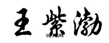 胡問遂王紫渤行書個性簽名怎么寫