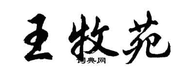 胡問遂王牧苑行書個性簽名怎么寫