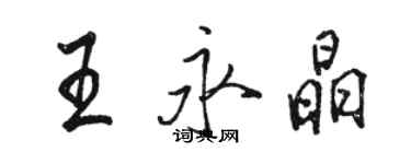 駱恆光王永晶行書個性簽名怎么寫