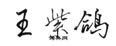 駱恆光王紫鴿行書個性簽名怎么寫