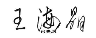 駱恆光王海晶草書個性簽名怎么寫