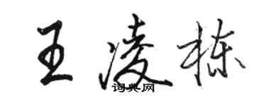 駱恆光王凌棟行書個性簽名怎么寫