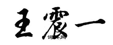 胡問遂王震一行書個性簽名怎么寫