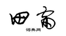 朱錫榮田雷草書個性簽名怎么寫