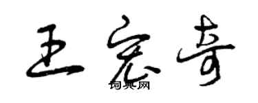 曾慶福王宏奇草書個性簽名怎么寫