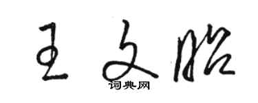 駱恆光王文昭草書個性簽名怎么寫