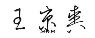 駱恆光王京爽草書個性簽名怎么寫