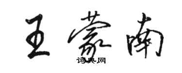 駱恆光王蒙南行書個性簽名怎么寫