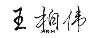 駱恆光王柏偉行書個性簽名怎么寫