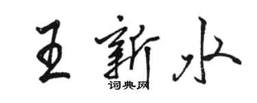 駱恆光王新水行書個性簽名怎么寫