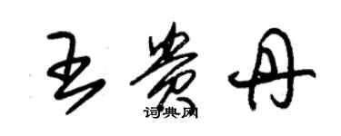 朱錫榮王貴丹草書個性簽名怎么寫