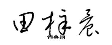 梁錦英田梓晨草書個性簽名怎么寫