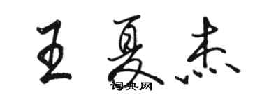 駱恆光王夏傑行書個性簽名怎么寫