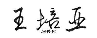 駱恆光王培亞行書個性簽名怎么寫