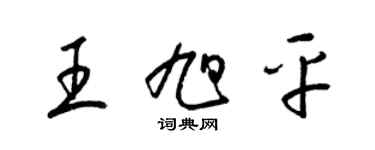 梁錦英王旭平草書個性簽名怎么寫