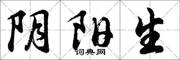 胡問遂陰陽生行書怎么寫