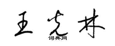 梁錦英王光林草書個性簽名怎么寫