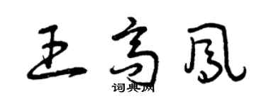 曾慶福王高鳳草書個性簽名怎么寫