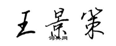 王正良王景策行書個性簽名怎么寫