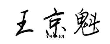 王正良王京魁行書個性簽名怎么寫