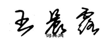 朱錫榮王晨露草書個性簽名怎么寫