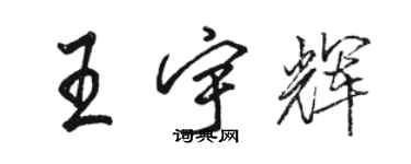 駱恆光王宇輝行書個性簽名怎么寫