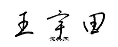 梁錦英王宇田草書個性簽名怎么寫