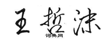 駱恆光王哲沫行書個性簽名怎么寫