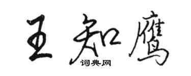 駱恆光王知鷹行書個性簽名怎么寫