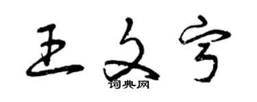 曾慶福王文寧草書個性簽名怎么寫