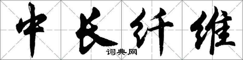 胡問遂中長纖維行書怎么寫